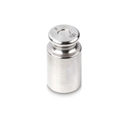 100g Poids d'étalonnage KERN Classe OIML F2