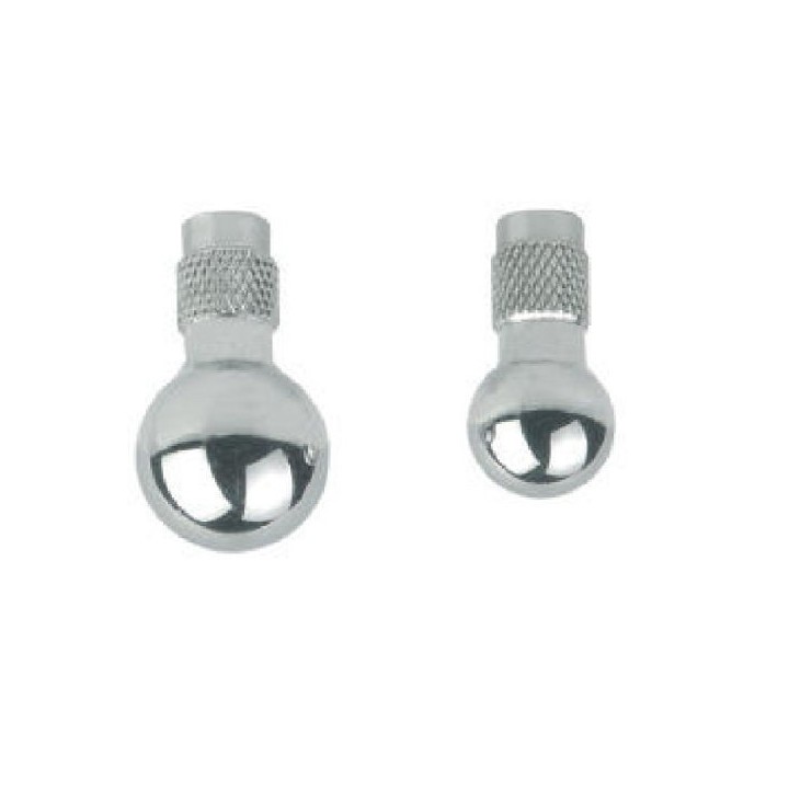 SAUTER AC 02 Tête sphérique en acier inoxidable