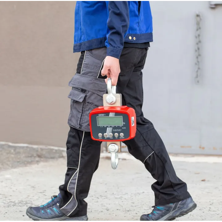 KERN HFD 10T-3 Balance à grue robuste