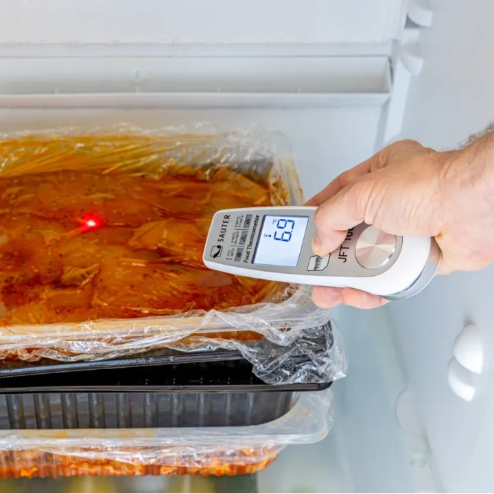 SAUTER JFT 100 Thermomètre numérique double