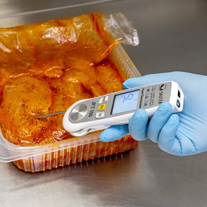 SAUTER JFT 100 Thermomètre numérique double