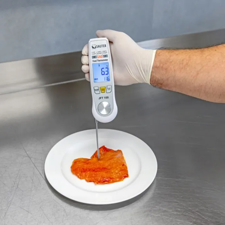 SAUTER JFT 100 Thermomètre numérique double