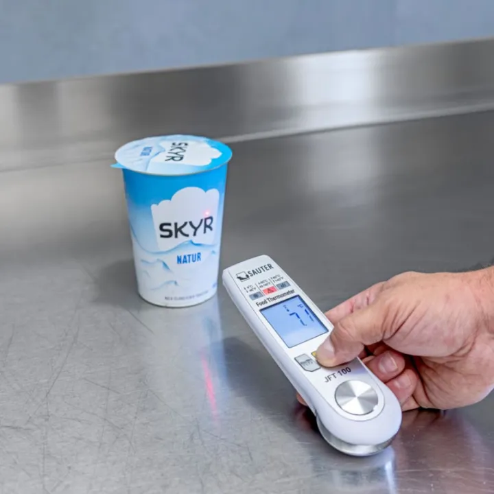 SAUTER JFT 100 Thermomètre numérique double