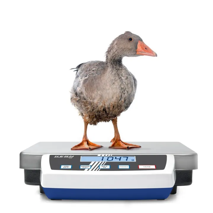 KERN DE 15K0.2D Balance plateforme haute précision